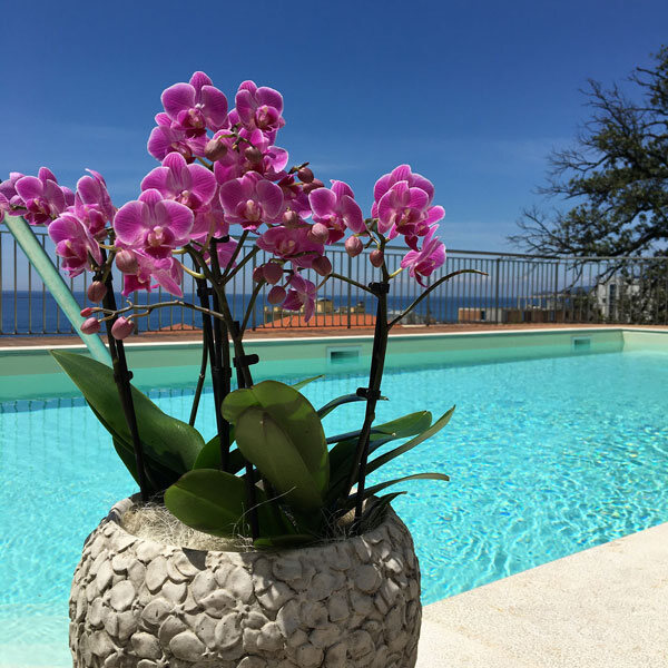 Swimming pool at Hotel Mediterraneo in Cavi di Lavagna